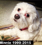 Minnie 1999-2015